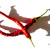 Image-square_50