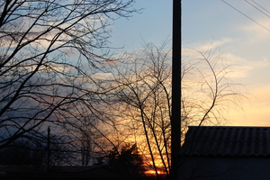 Image-preview_300x200