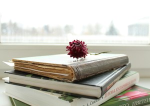 Image-preview_300x200