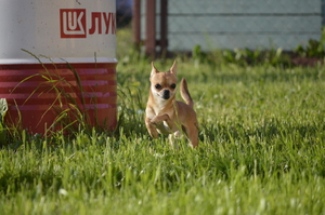 Image-preview_300x200