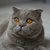 Image-square_50