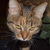 Image-square_50