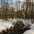 Image-square_50