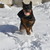 Image-square_50