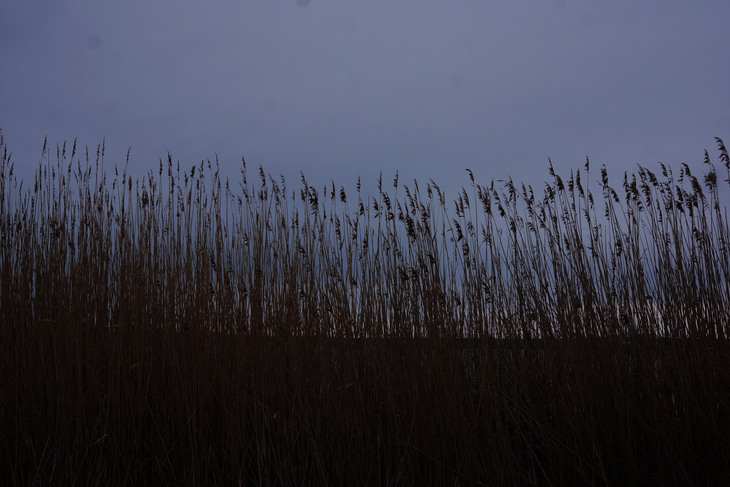 Image-normal