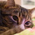 Image-square_50