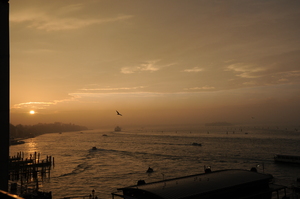 Image-preview_300x200