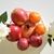 Image-square_50