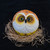 Image-square_50