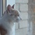 Image-square_50