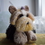 Image-square_50
