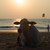 Image-square_50