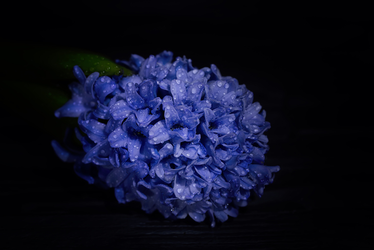 Image-normal