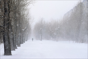 Image-preview_300x200