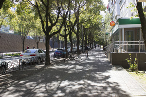 Image-preview_300x200