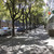 Image-square_50