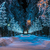 Image-square_50
