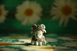 Image-preview_300x200