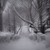 Image-square_50