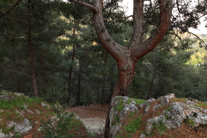 Image-preview_300x200
