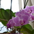 Image-square_50