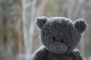 Image-preview_300x200