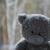 Image-square_50