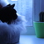 Image-square_50