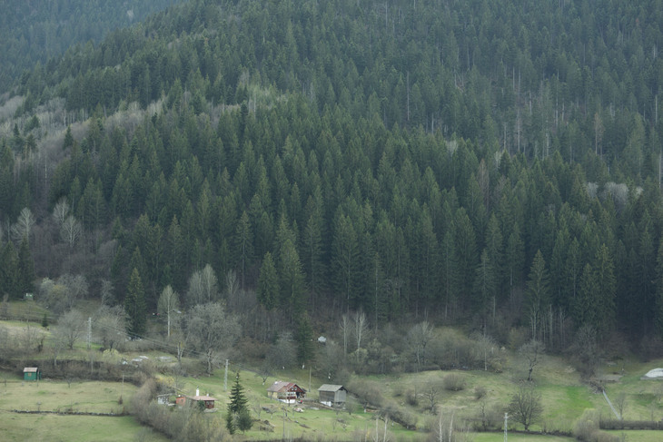 Image-normal