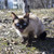 Image-square_50