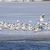 Image-square_50