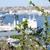 Image-square_50