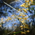 Image-square_50
