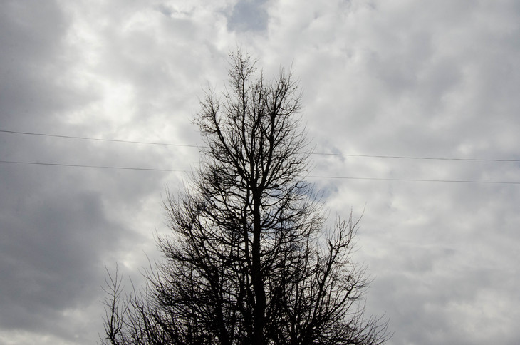 Image-normal