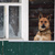 Image-square_50