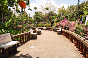 Image-preview_300x200