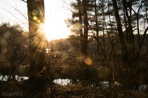 Image-preview_300x200