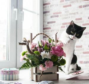 Image-preview_300x200