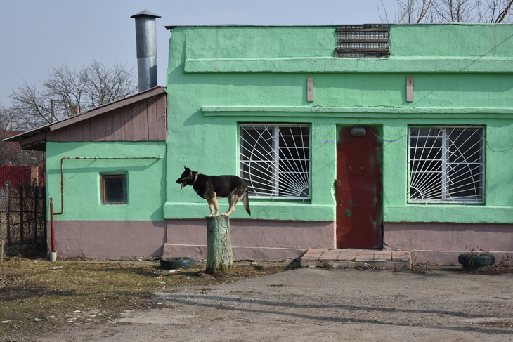 Image-normal