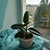 Image-square_50