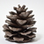 Image-square_50