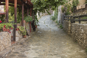 Image-preview_300x200