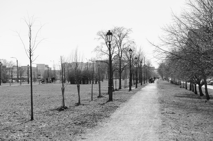 Image-normal
