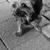 Image-square_50