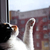 Image-square_50