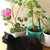 Image-square_50