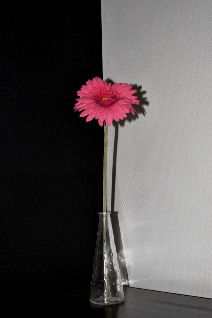 Image-normal
