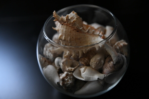 Image-preview_300x200