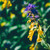 Image-square_50