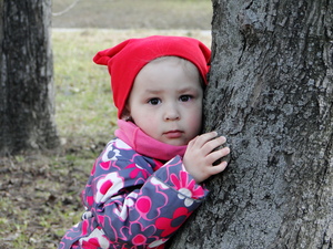 Image-preview_300x200